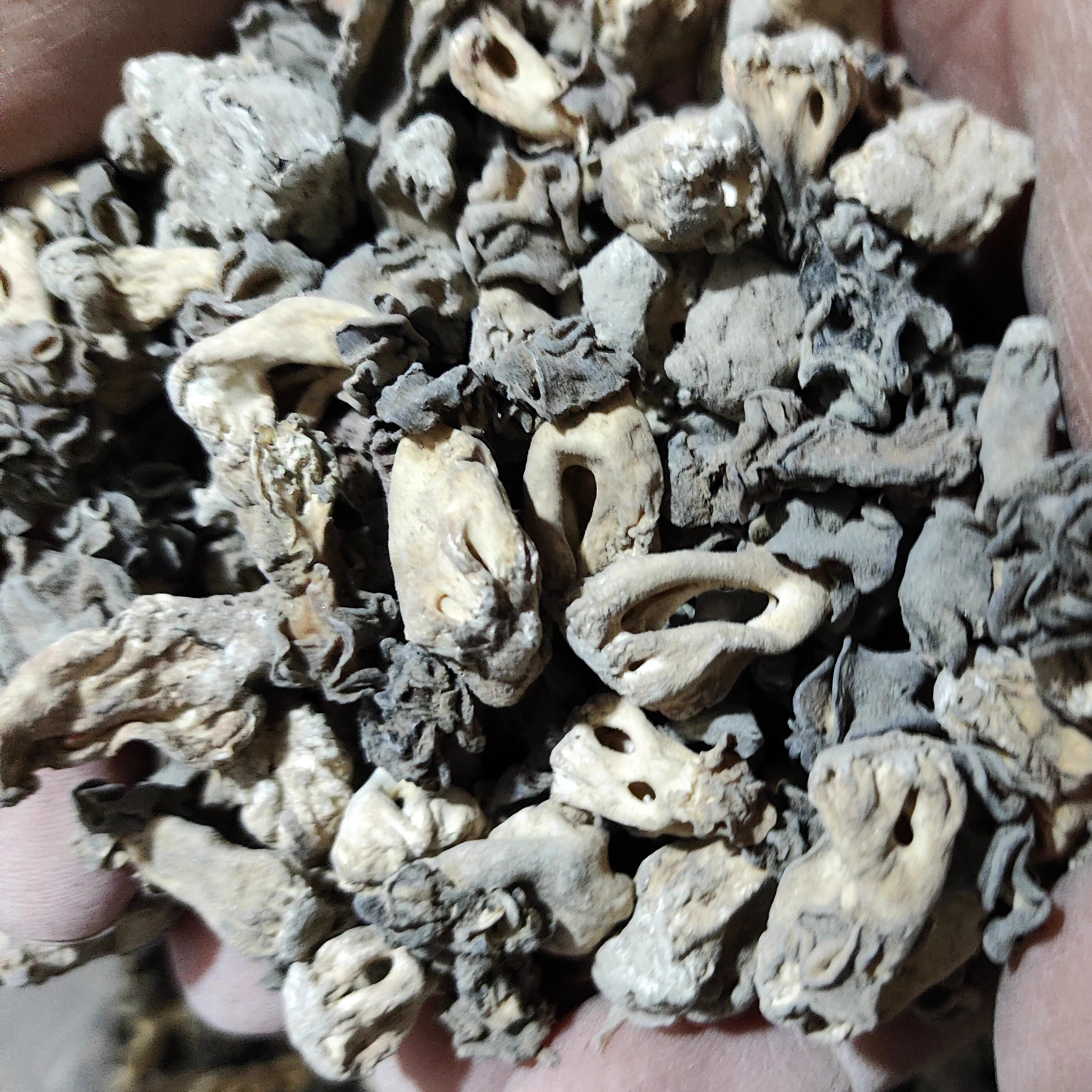 一公斤新疆巴楚野生蘑菇干货煲汤食材带沙土特产炒菜1公斤菌菇类