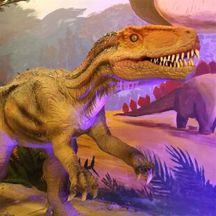 自贡仿真大型霸王龙恐龙会动会叫摆件商场游乐园摆件厂家直销