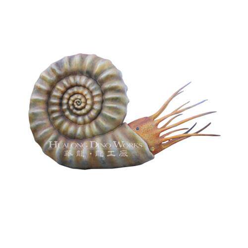 仿真海洋生物仿真海螺菊石自然博物馆机械电动模型机模摆件