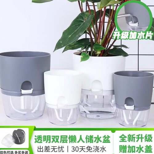 懒人花盆自动吸水花盆储水盆仿陶瓷绿萝多肉室内水培透明双层花盆