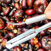 广西马蹄荸荠削皮器削皮刀 苹果刨刀折叠水果刀厨房瓜刨土豆刀