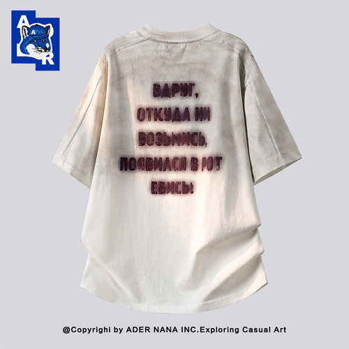 ADERNANA美式刺绣纯棉短袖T恤