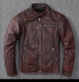 Brown Distressed