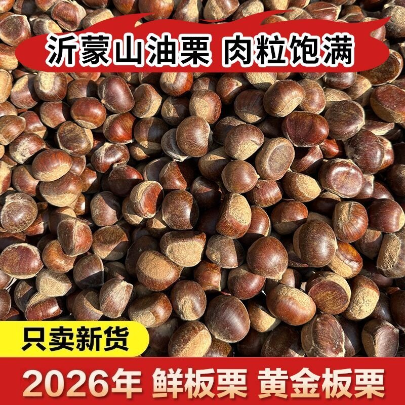 新货百年老树板栗新鲜板栗