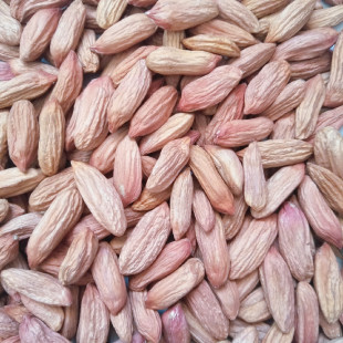 新鲜当季瘪花生米去壳农家小零食生小粒秕子花生瘪子山东花生仁