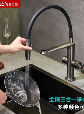 全铜厨房水槽菜盆冷热净水器龙头
