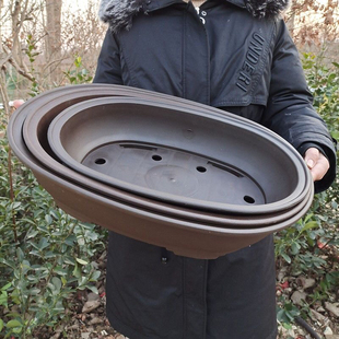 盆景花盆长方形椭圆塑料盆多肉组合养花种菜大号加厚仿紫砂防烂根