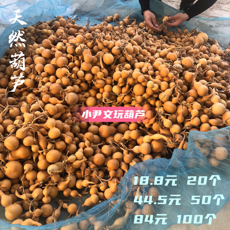 天然文玩葫芦通货葫芦