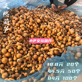 天然文玩葫芦草里金八宝小美胖墩通货带瑕疵练手烫画墨刻盘玩把件