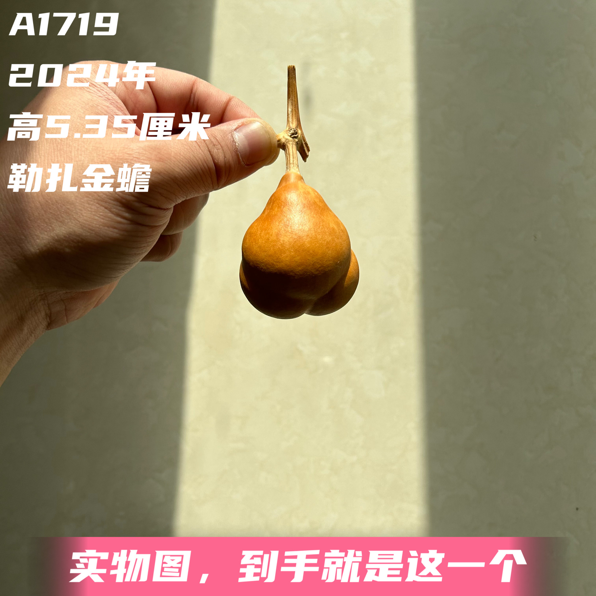 A1719高5.35厘米2024年精品手捻花叶病勒扎金蟾葫芦