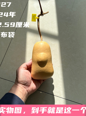 A1027高12.59厘米2024年精品冬瓜布袋钱袋葫芦财包