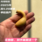 A1866高5.20厘米2025年精品手捻蚂蚁肚弓背单肚独把葫芦