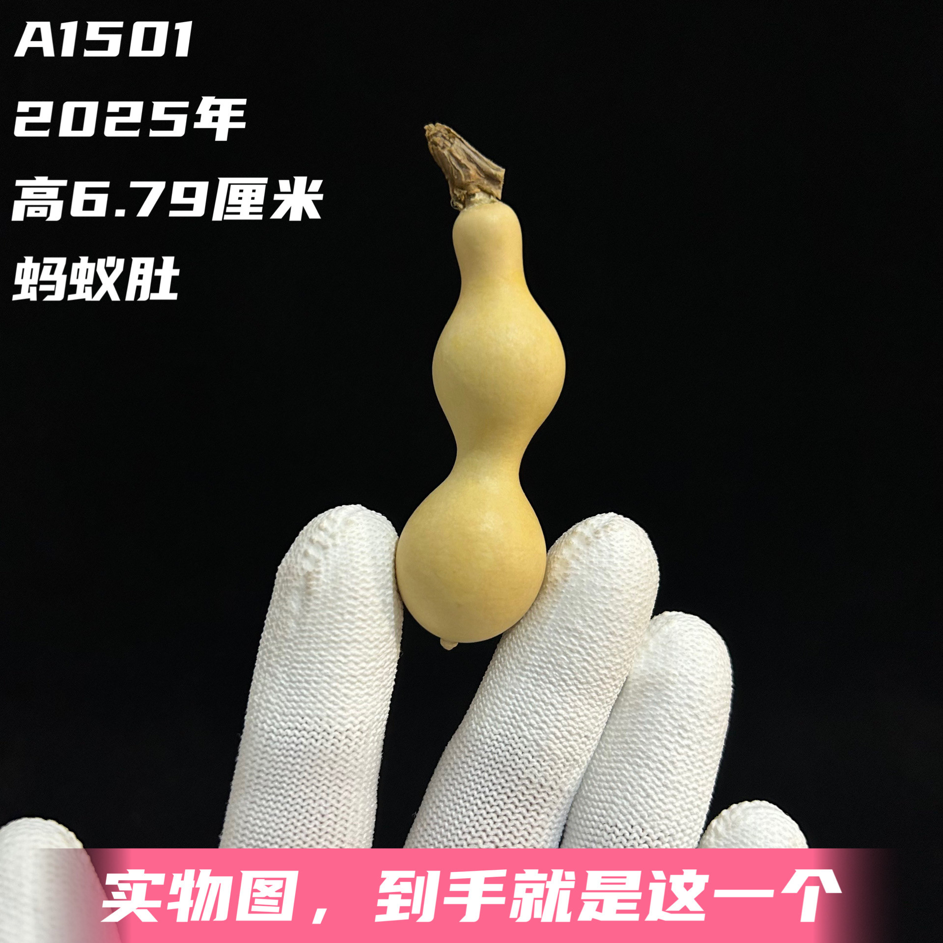 A1501高6.79厘米2025年精品手捻圆肚粗身段蚂蚁肚葫芦