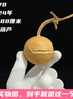 A1178高4.88厘米2024年精品手捻天裂小苹果异形文玩葫芦