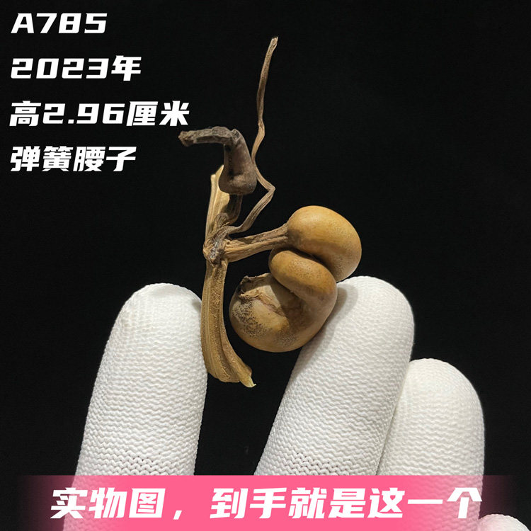A785高2.96厘米2023年自然花皮蜗牛弹簧腰子异形手捻小葫芦