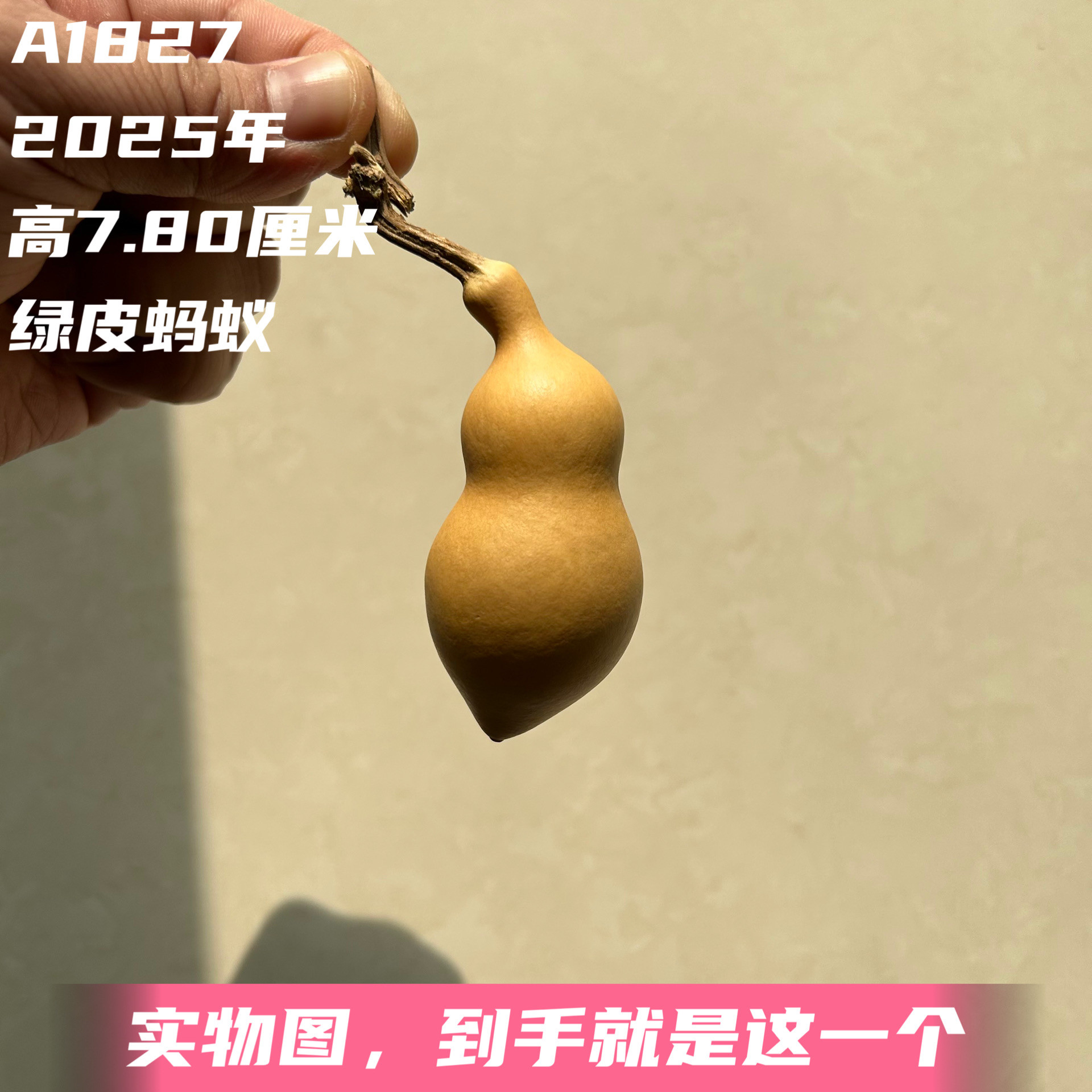 A1827高7.80厘米2025年精品手捻绿皮蚂蚁肚葫芦