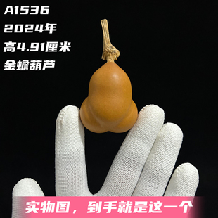 A1536高4.91厘米2024年精品手捻小胖墩勒扎金蟾葫芦