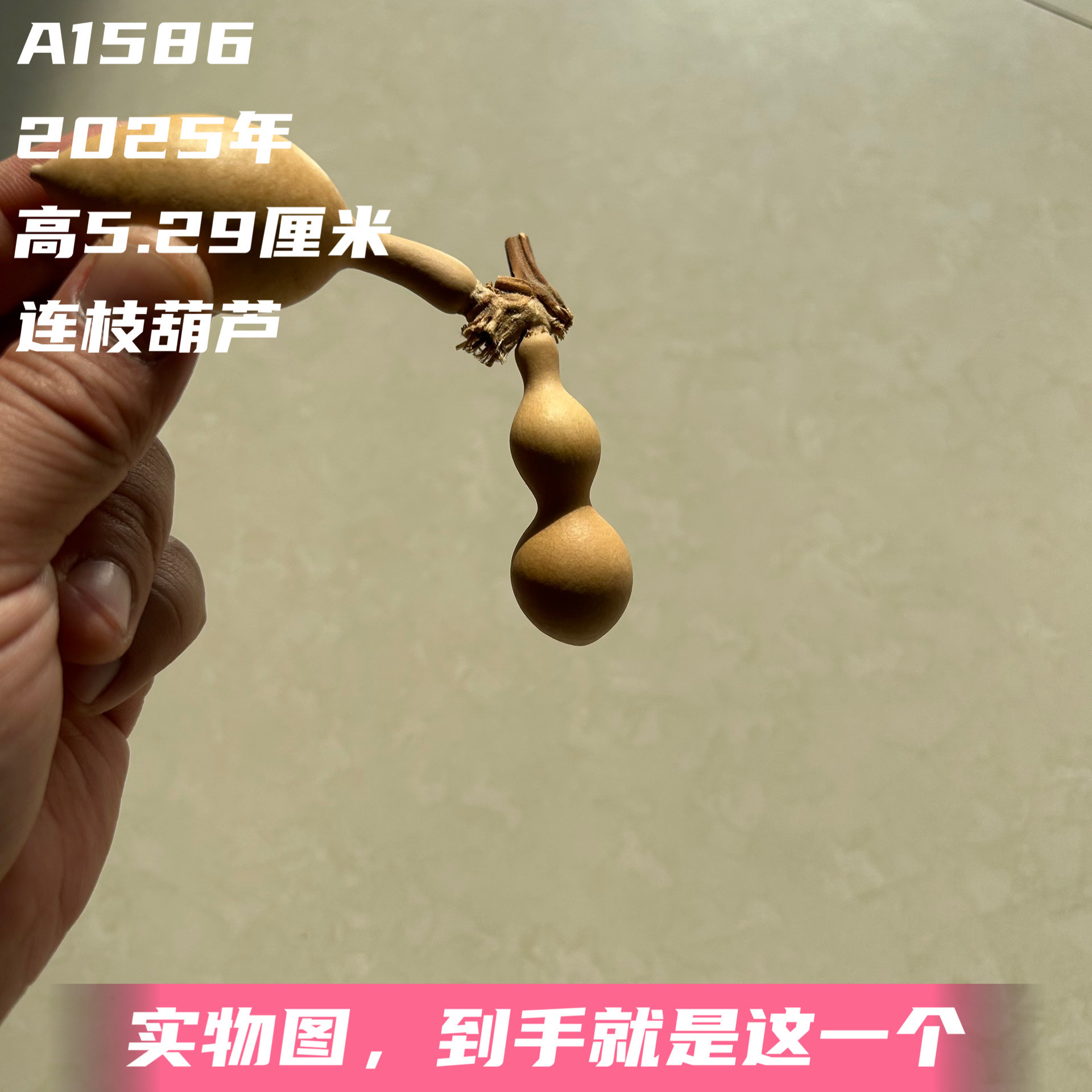 A1586高5.29厘米2025年精品手捻蚂蚁肚单肚连枝葫芦
