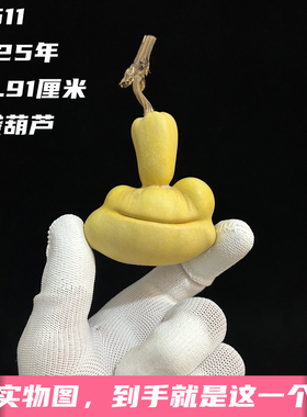 A1511高6.91厘米2025年精品手捻翻嘴粗爆头熊脸钱袋葫芦