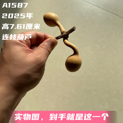 A1587高7.61厘米2025年精品手捻单肚独把连枝葫芦