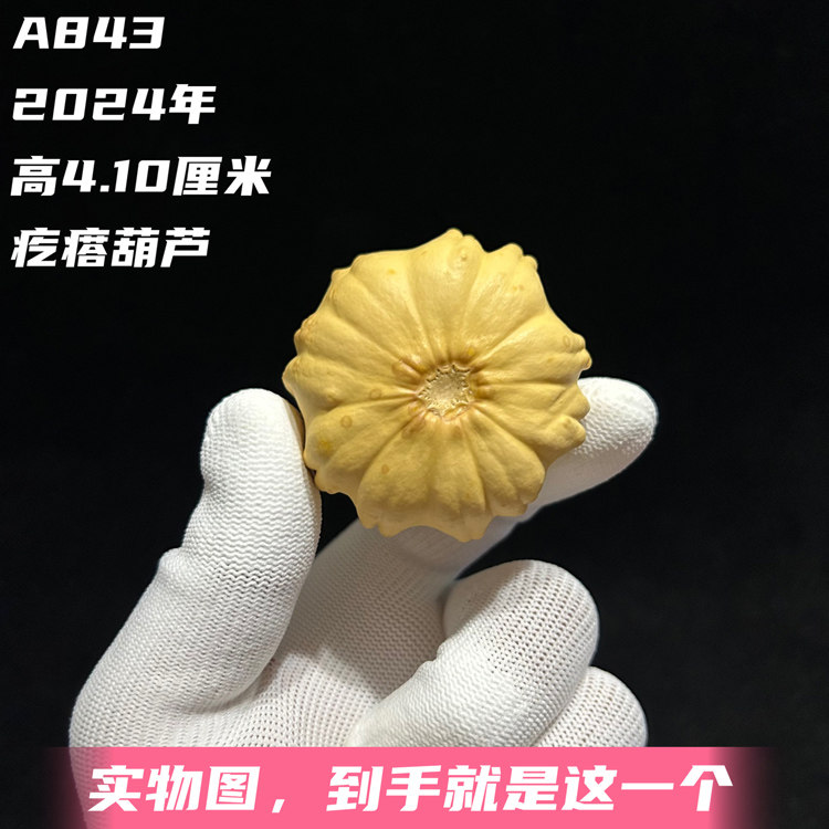 A843高4.10厘米2024年精品双色翻花瓣七彩疙瘩葫芦手捻文玩