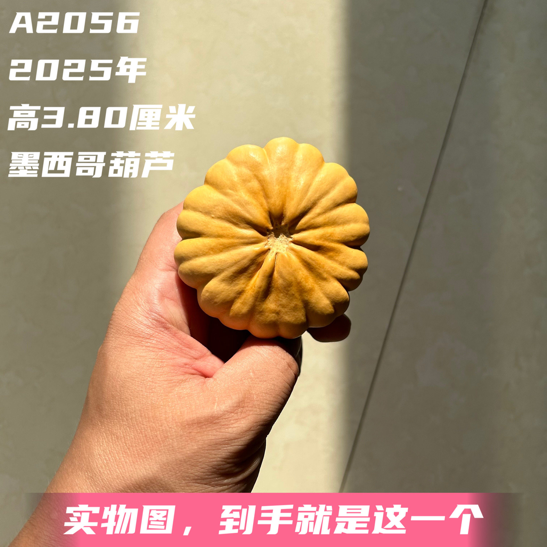 A2056高3.80厘米2025年精品手捻矮桩飞碟花瓣墨西哥葫芦