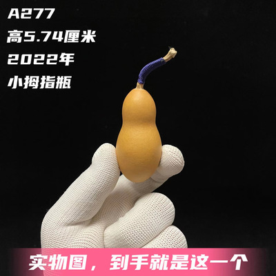 瓶子葫芦和尚头葫芦异形文玩葫芦