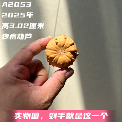 A2053高3.02厘米2025年精品手捻墨西哥七彩疙瘩葫芦