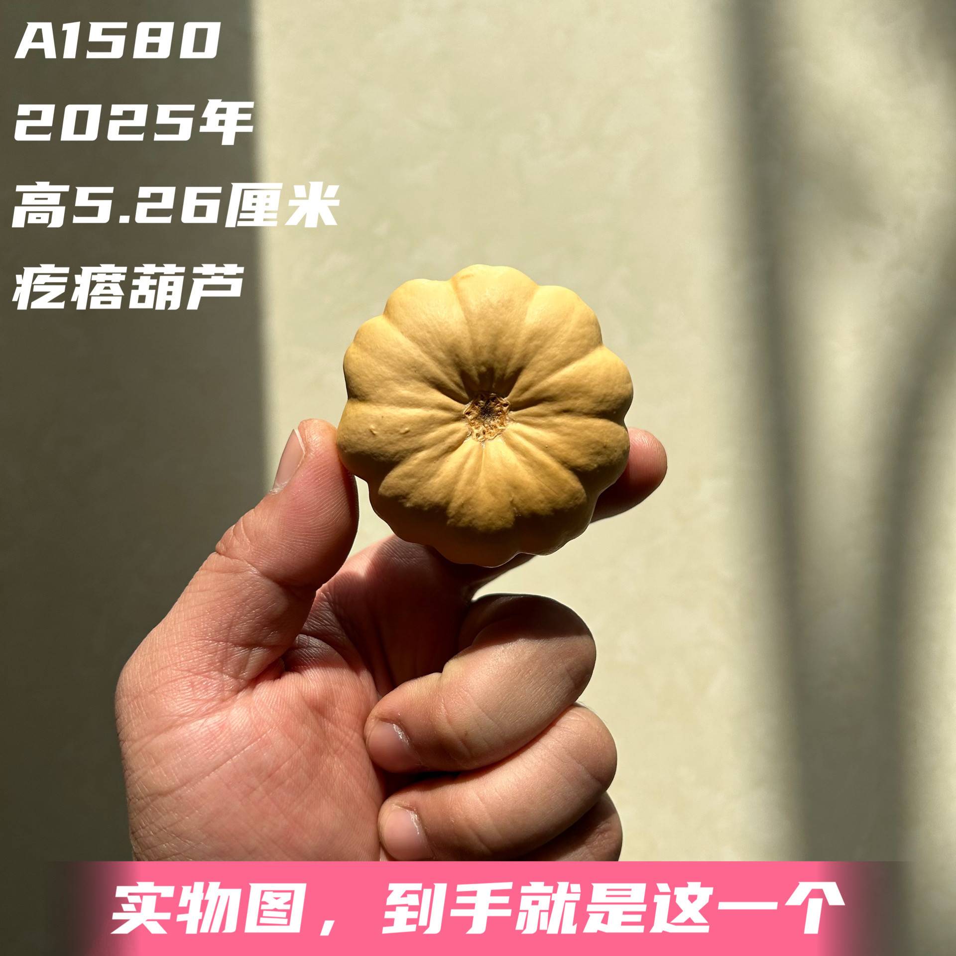 A1580高5.26厘米2025年精品手捻高桩花瓣墨西哥葫芦