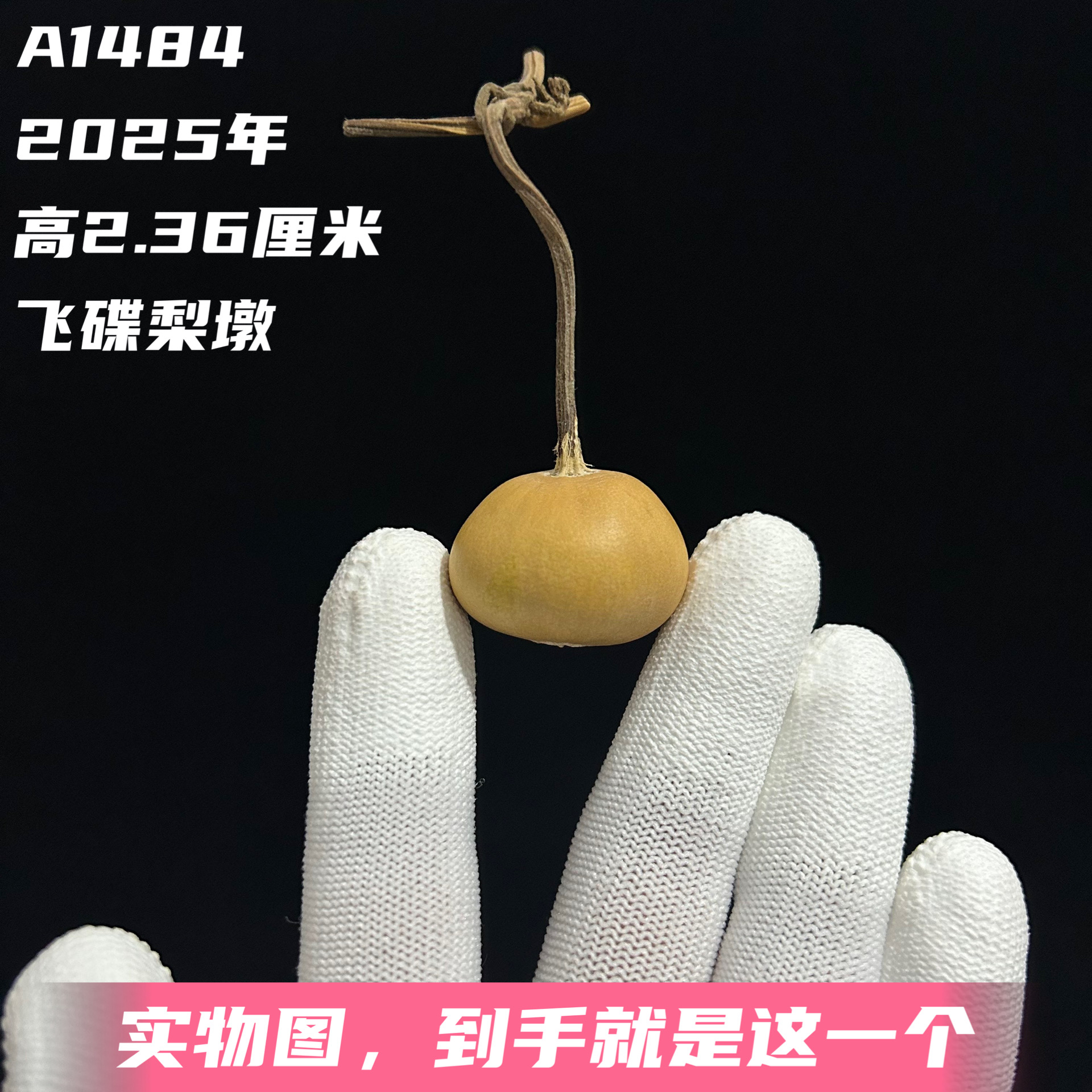 A1484高2.36厘米2025年精品手捻磨盘矮桩扁肚飞碟云朵梨墩葫芦