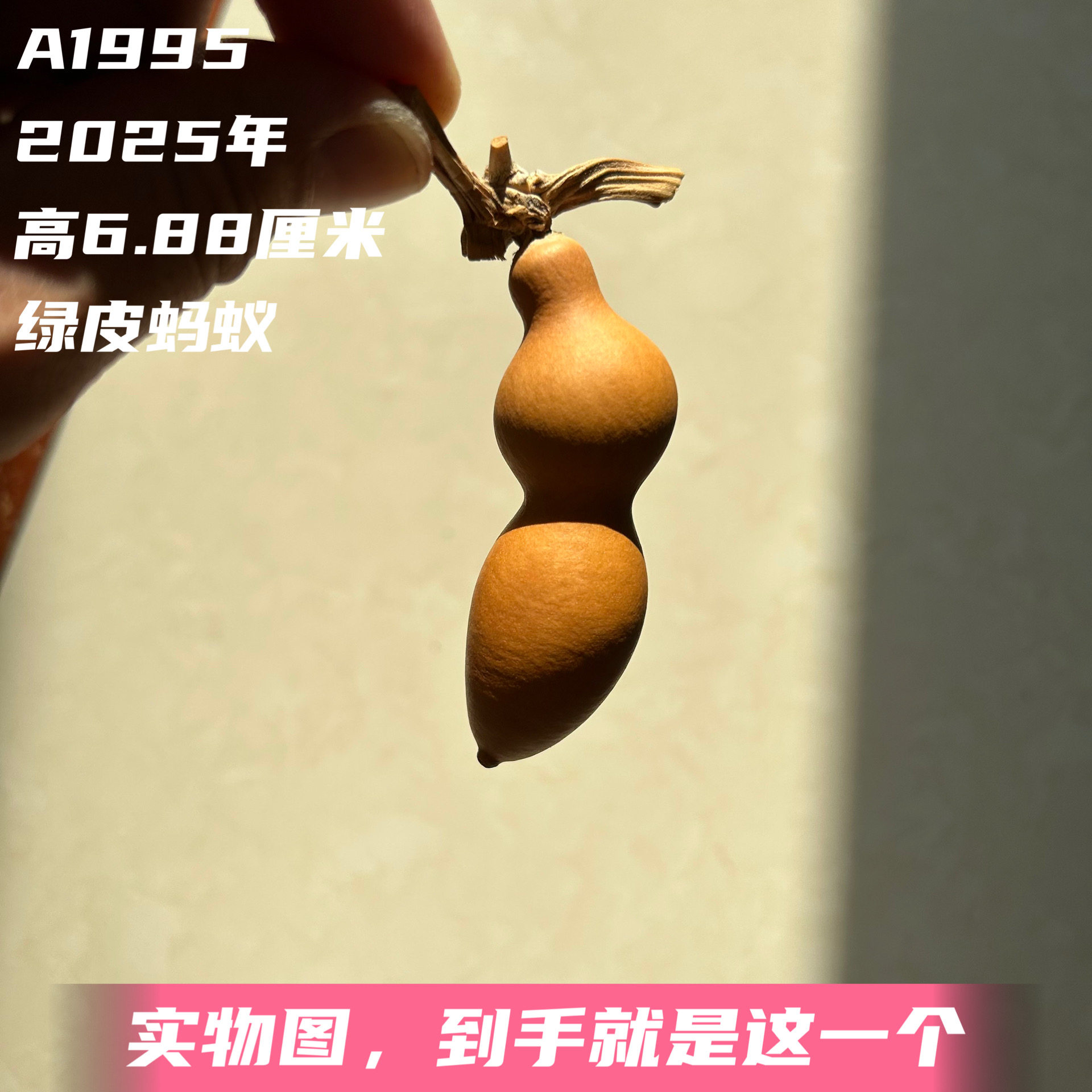 A1995高6.88厘米2025年精品手捻绿皮蚂蚁肚葫芦