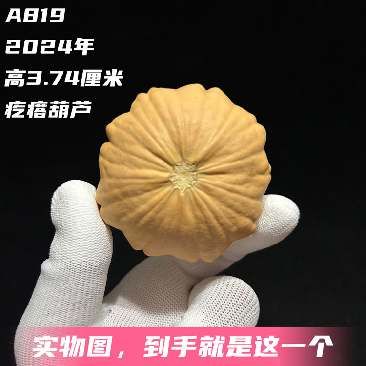 A819高3.74厘米2024年精品手捻矮桩飞碟圆花带翅疙瘩葫芦
