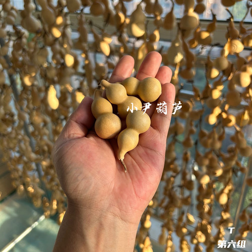 绕指柔手捻天津嘴葫芦