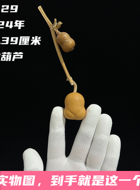 A1329高3.39厘米2024年精品手捻草里金小金蟾葫芦连藤