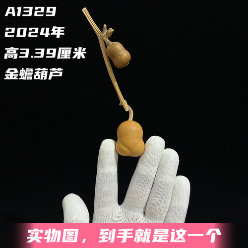A1329高3.39厘米2024年精品手捻草里金小金蟾葫芦连藤