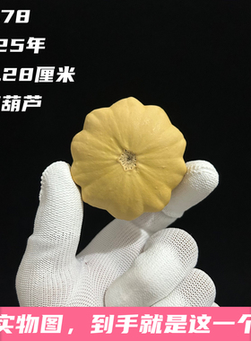 A1478高3.28厘米2025年精品手捻圆花饼子七彩墨西哥葫芦