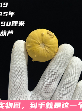 A1419高2.90厘米2025年精品手捻墨西哥七彩迷你疙瘩小葫芦