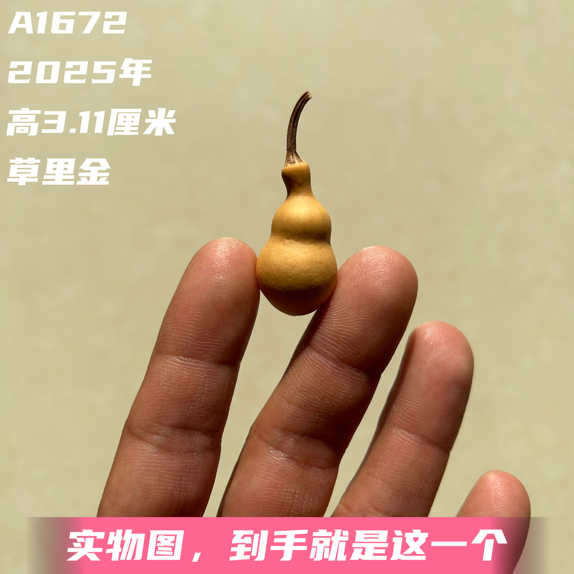 A1672高3.11厘米2025年精品手捻草里金蚂蚁肚葫芦