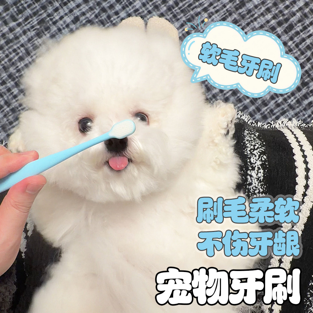 【不伤牙龈】万毛牙刷 柔软刷毛 宠物狗狗刷牙除口臭 保护牙龈