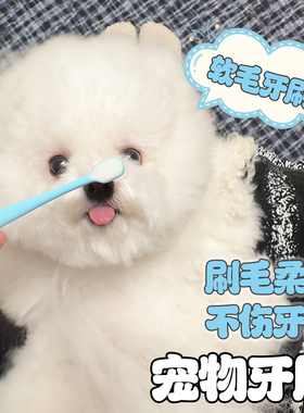 【不伤牙龈】万毛牙刷 柔软刷毛 宠物狗狗刷牙除口臭 保护牙龈