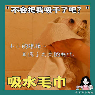 在下肉丸子 宠物狗狗 便携装 超好用鸭 仿鹿皮吸水毛巾