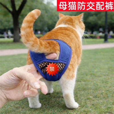 猫母猫防交配裤生理裤老年猫咪纸尿裤吸尿裤母猫发情裤姨妈巾神器