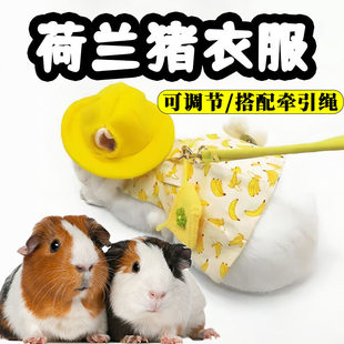 荷兰猪衣服专用豚鼠配饰拍照保暖新款好看背心服装可爱冬天用品