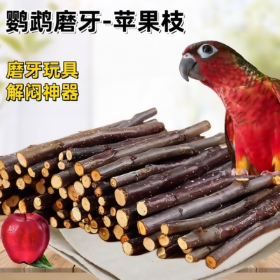 小太阳鸟鹦鹉磨牙棒啃咬玩具解闷自嗨苹果木枝磨嘴器磨喙神器用品