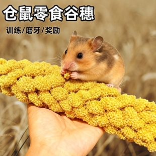 仓鼠零食黄谷穗饲料小米黄谷子花枝鼠龙猫鹦鹉真空零食天然粮食