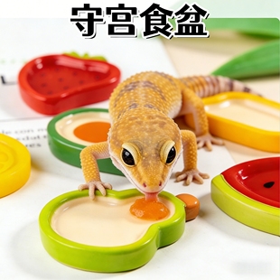 守宫食盆水盆果泥碟钙粉碟小号睫角豹纹蜥蜴爬宠专用喂食造景用品