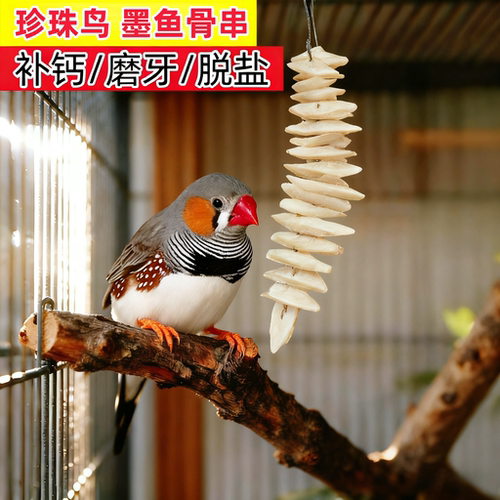 墨鱼骨珍珠鸟专用鹦鹉磨牙棒神器玩具大块补钙吊串食啃咬玄凤虎皮