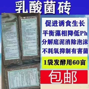 水产养殖用高浓缩乳酸菌发酵菌砖一公斤可泼洒50-100亩