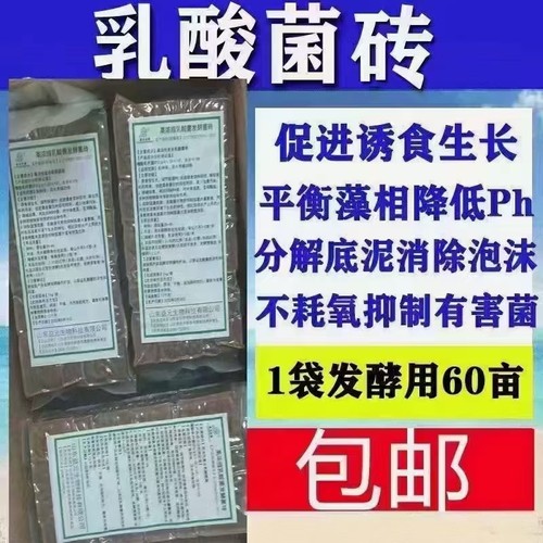 水产养殖用高浓缩乳酸菌发酵菌砖一公斤可泼洒50-100亩