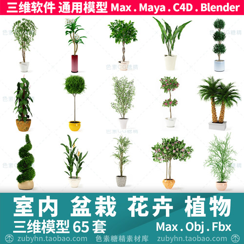 室内盆栽多肉植物花卉发财树3d三维模型mayamaxc4dBlender